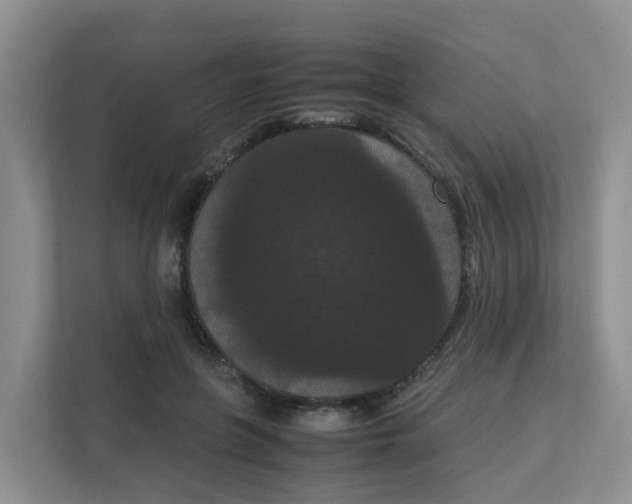 X0000111860551200908131501