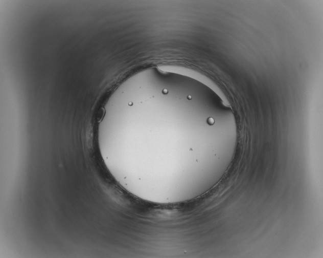 X0000111860552200908131501