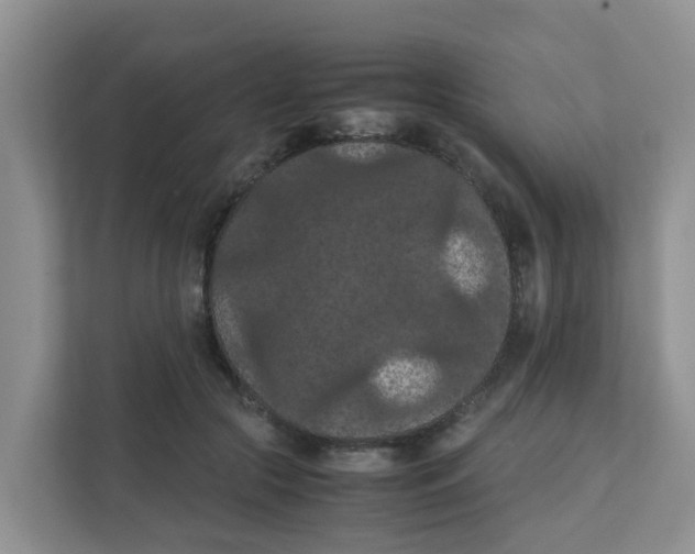 X0000111860553200908131501