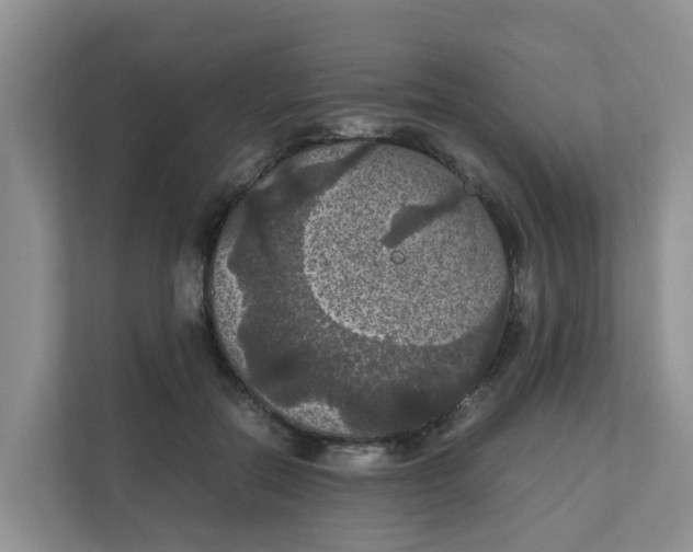 X0000111860554200908131501