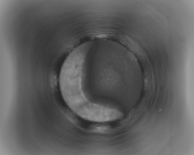 X0000111860555200908131501