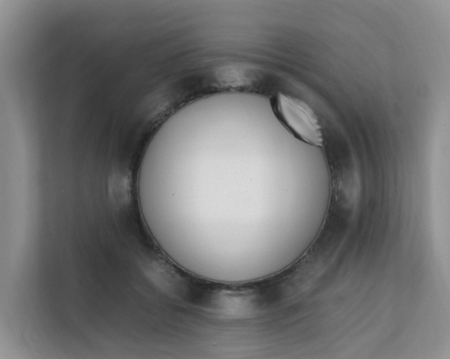 X0000111860556200908131501