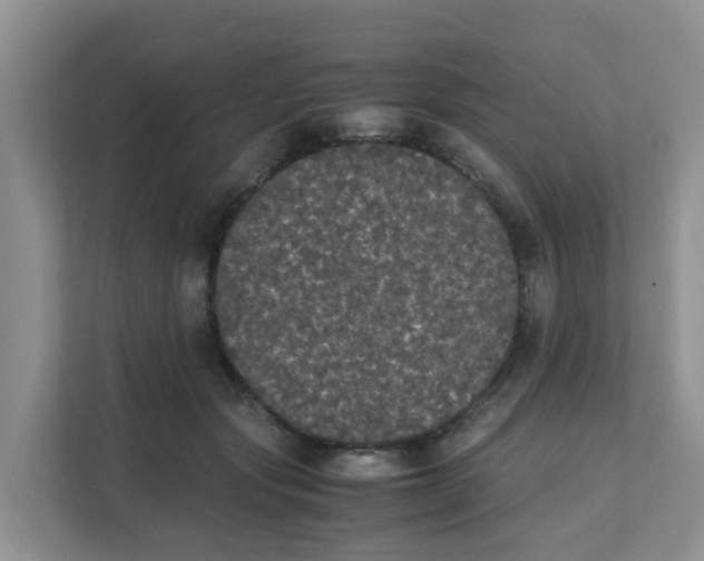 X0000111860557200908131501