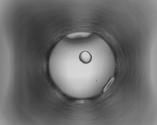 X0000111860558200908131501