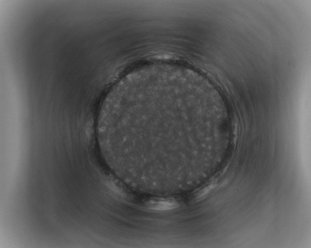 X0000111860559200908131501