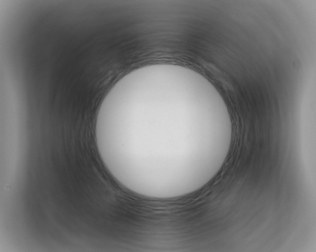 X0000111860560200908131501