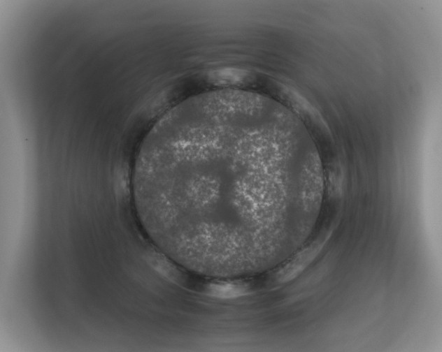 X0000111860561200908131501