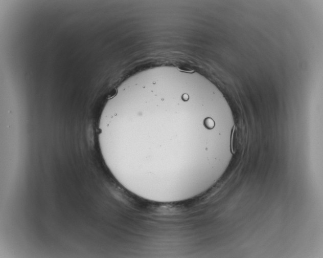 X0000111860562200908131501