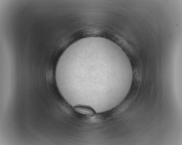 X0000111860564200908131501