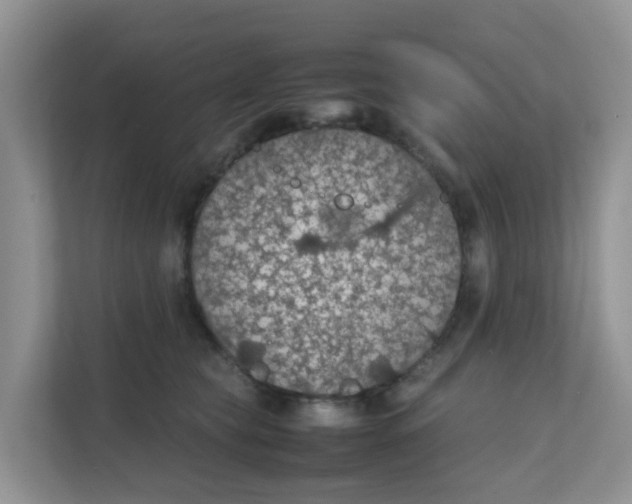 X0000111860565200908131501