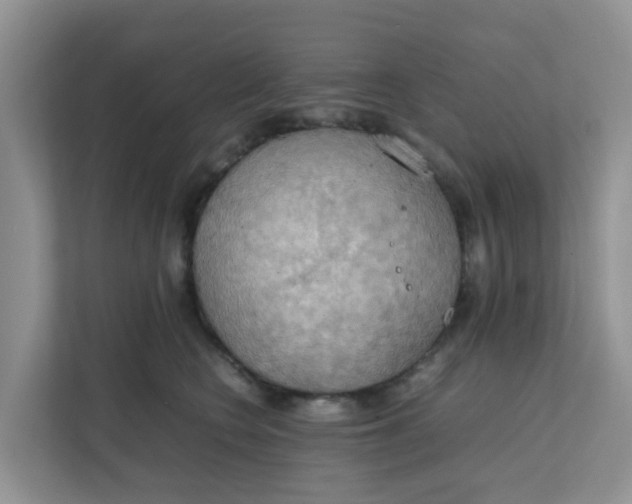 X0000111860566200908131501