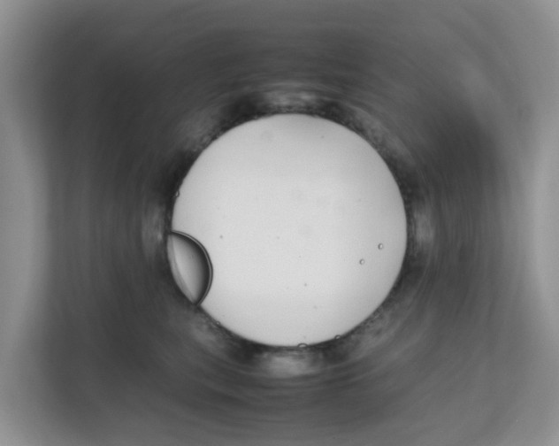 X0000111860567200908131501