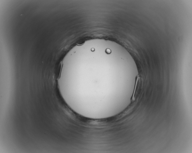 X0000111860568200908131501