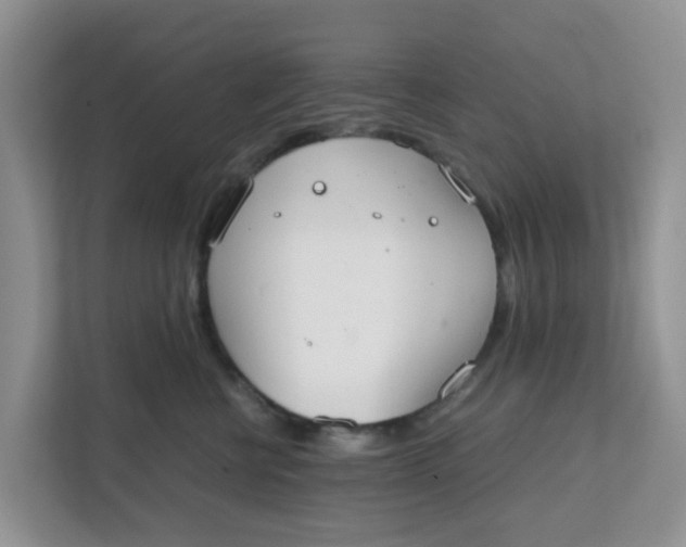 X0000111860570200908131501