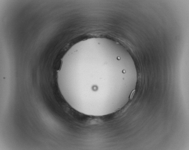 X0000111860572200908131501