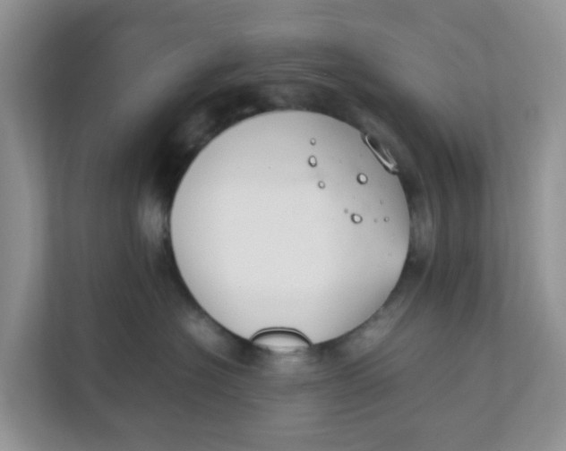 X0000111860574200908131501