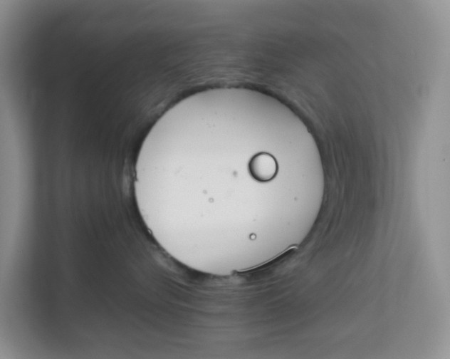 X0000111860576200908131501