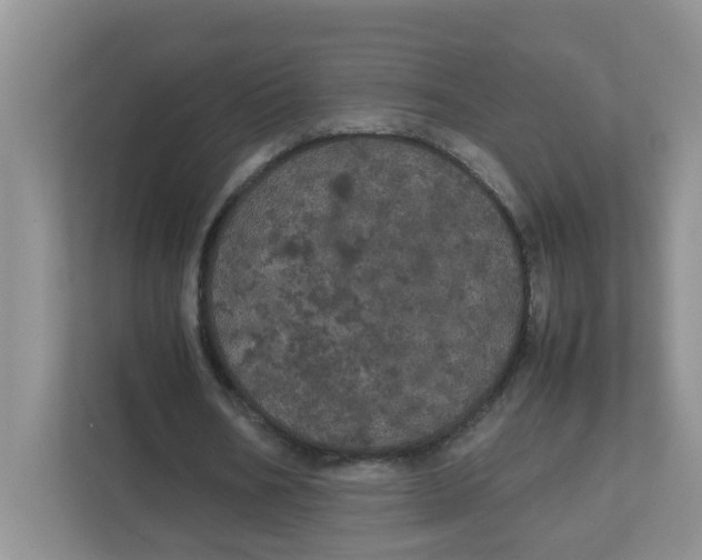 X0000111860578200908131501