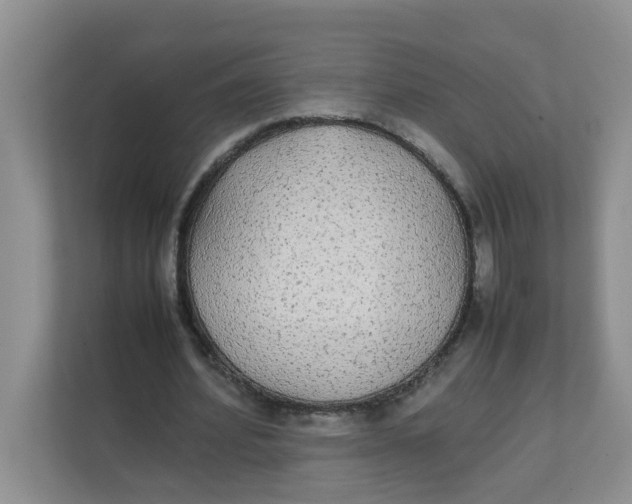 X0000111860580200908131501