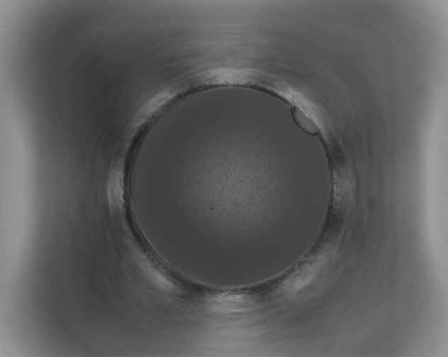 X0000111860581200908131501