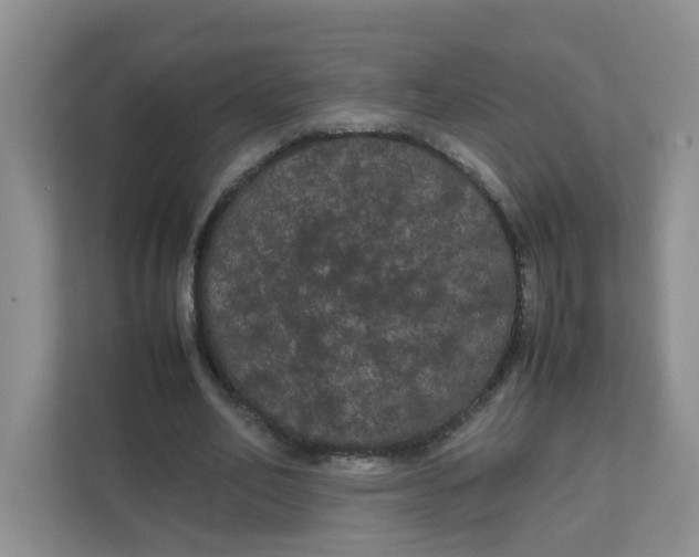 X0000111860582200908131501