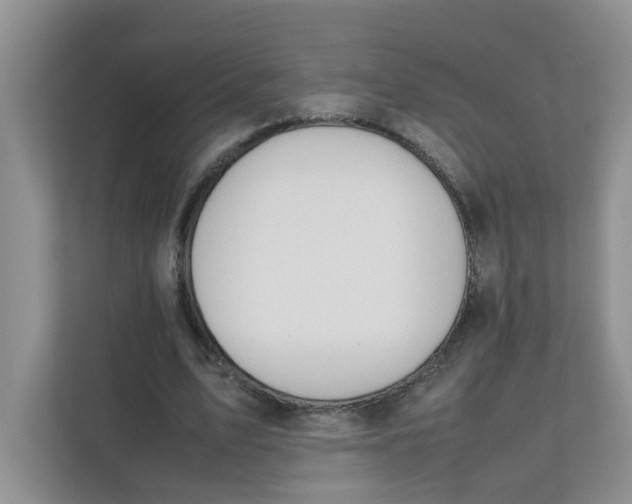 X0000111860583200908131501