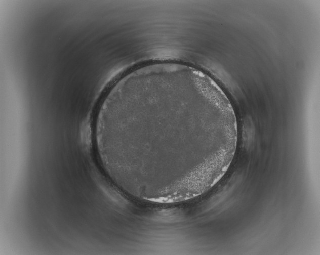 X0000111860584200908131501