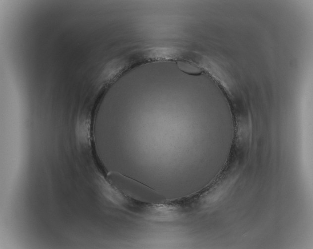 X0000111860585200908131501