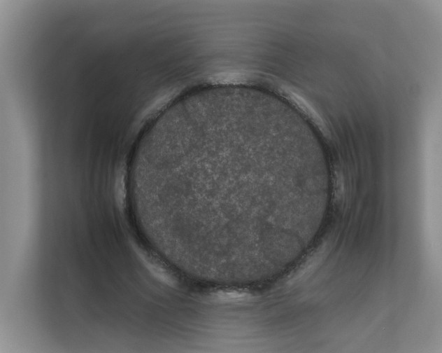 X0000111860586200908131501