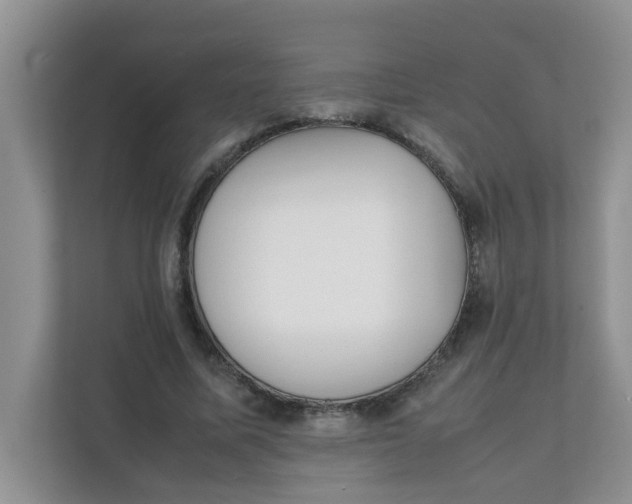 X0000111860587200908131501