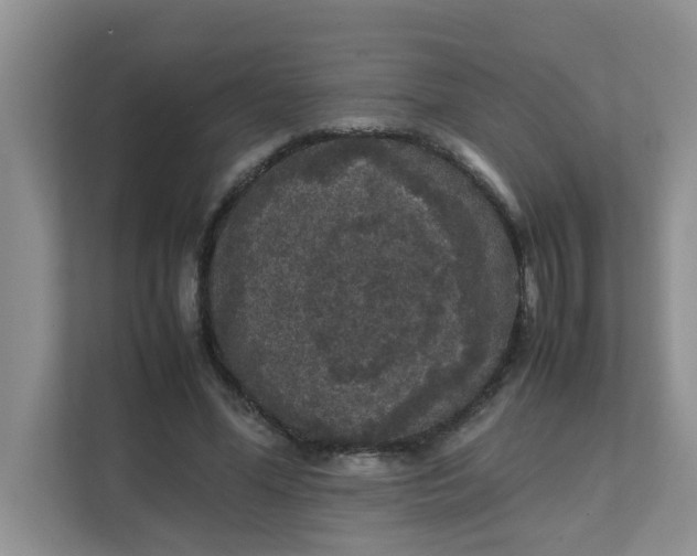 X0000111860588200908131501