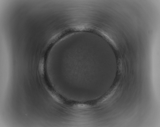 X0000111860590200908131501