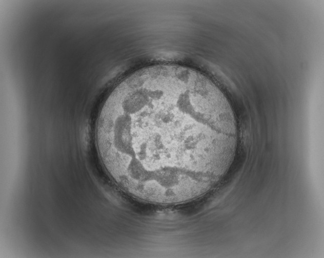 X0000111860591200908131501