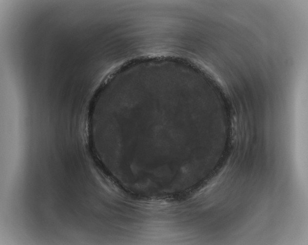 X0000111860592200908131501