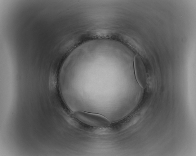 X0000111860593200908131501