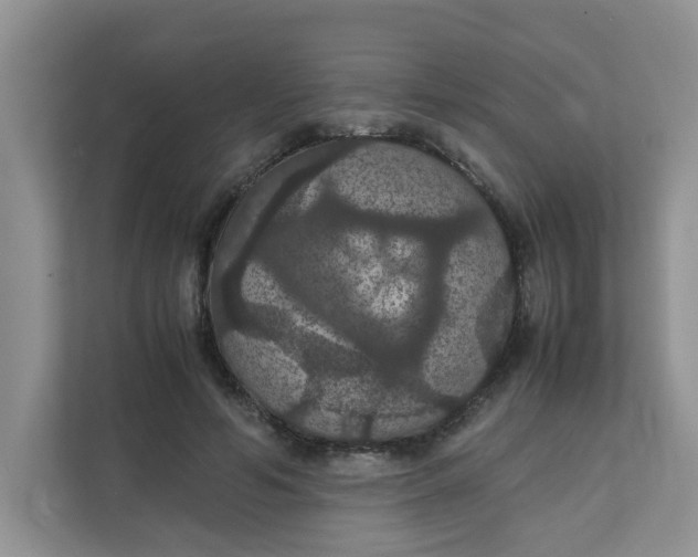 X0000111860594200908131501