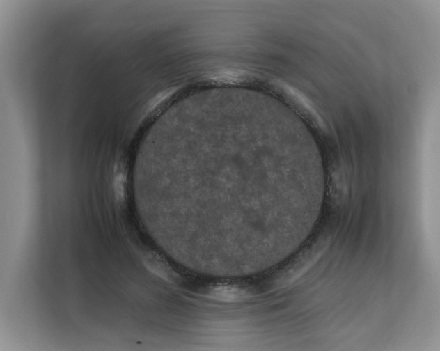 X0000111860596200908131501