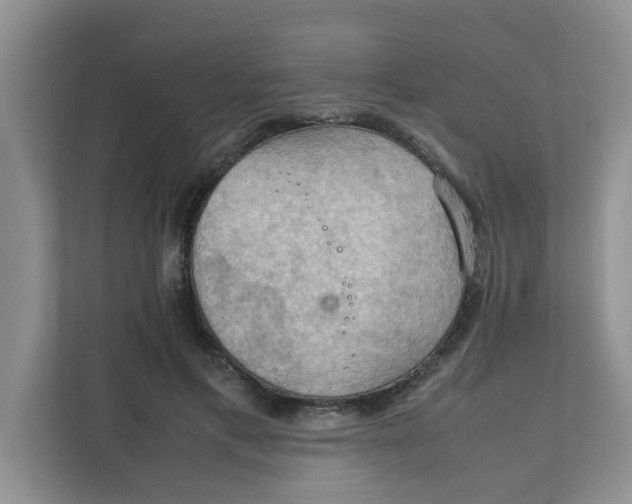 X0000111860597200908131501