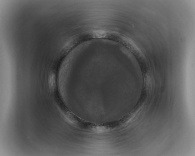 X0000111860598200908131501