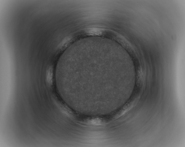 X0000111860600200908131501