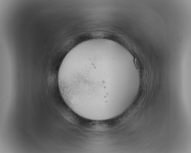 X0000111860601200908131501