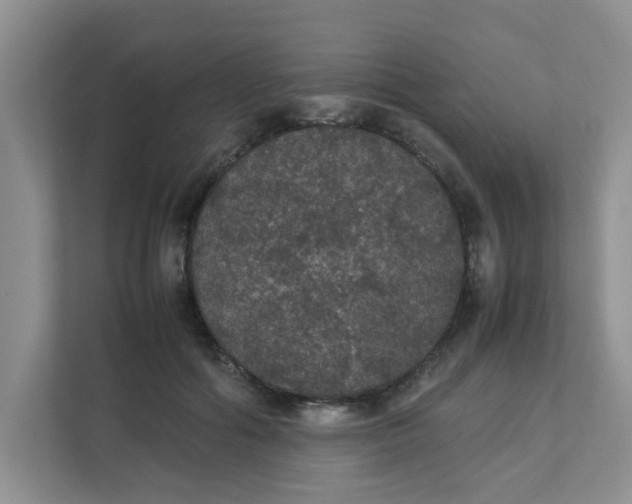 X0000111860602200908131501