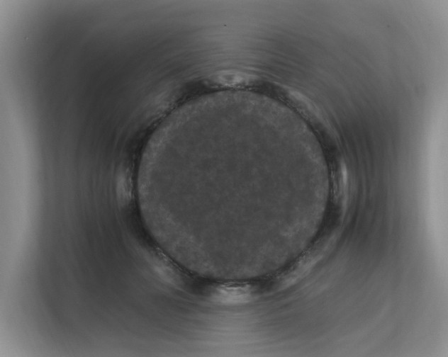 X0000111860606200908131500