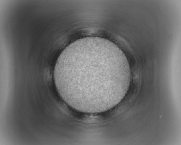 X0000111860607200908131500