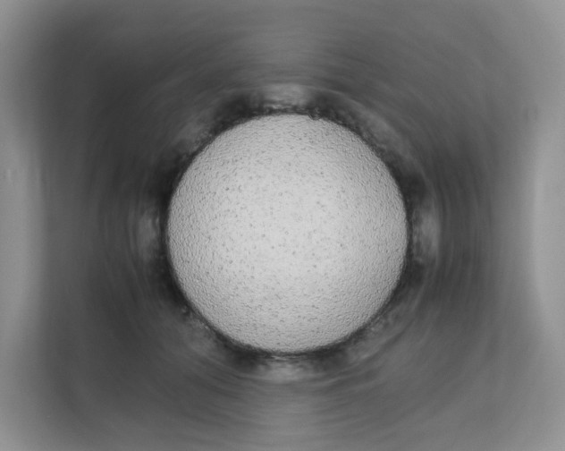 X0000111860608200908131500