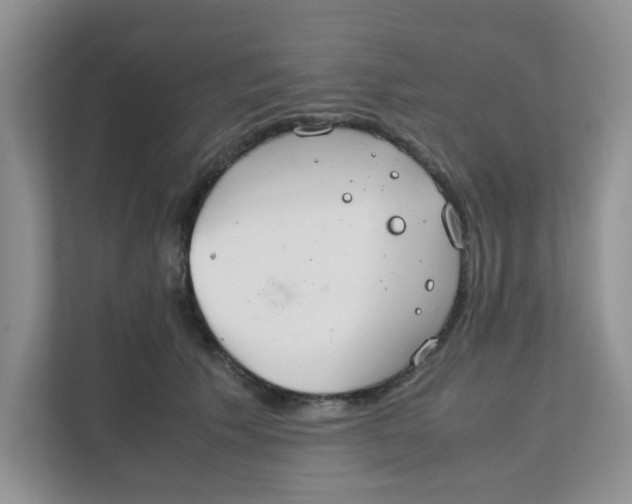 X0000111860609200908131500