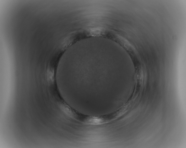 X0000111860610200908131500