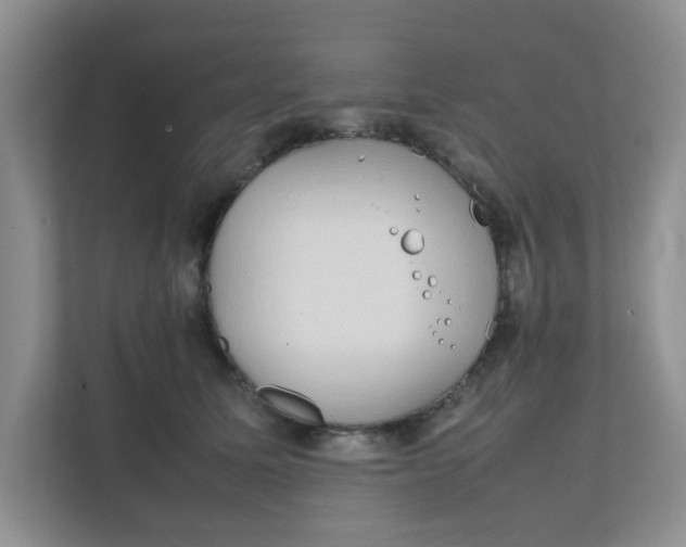 X0000111860611200908131500