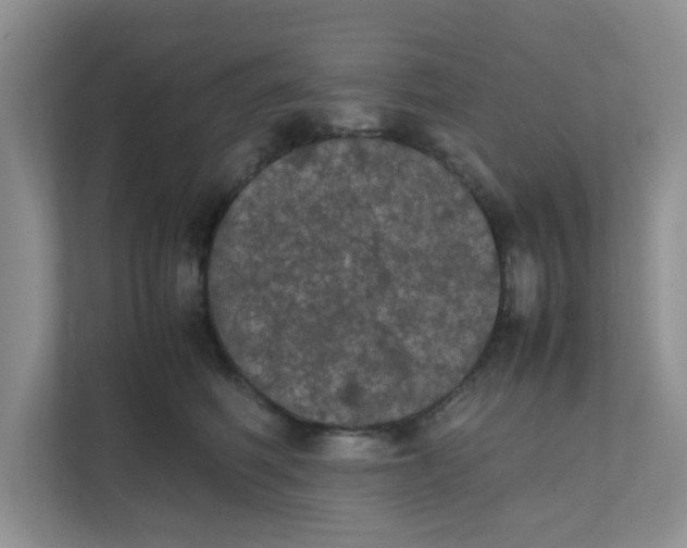 X0000111860614200908131500