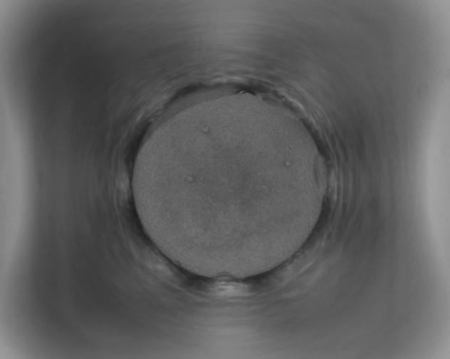 X0000111860617200908131500